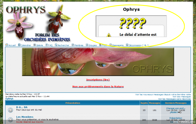 Problème avec IMAGEHOTEL ??? Ophrys1288781085213