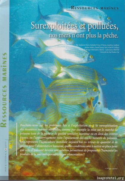 Etat des mers 1_5