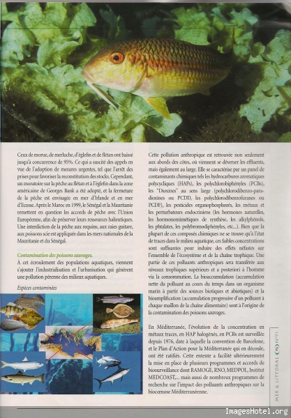 Etat des mers 4_1