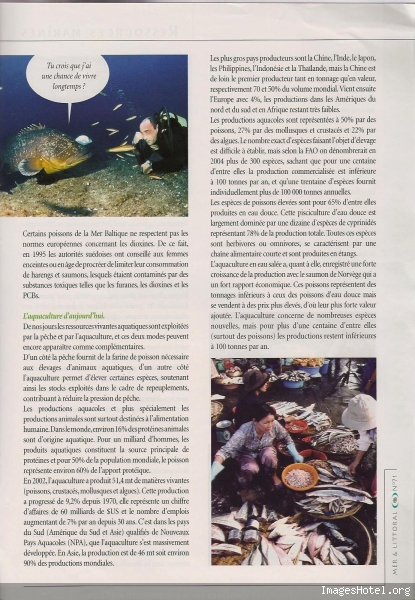 Etat des mers 6_1