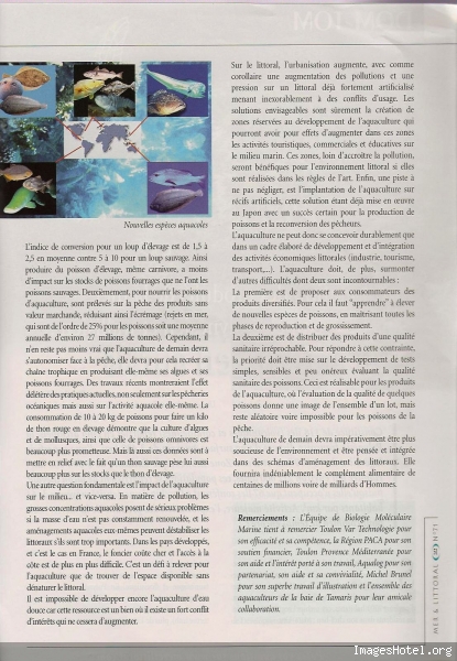 Etat des mers 8_1