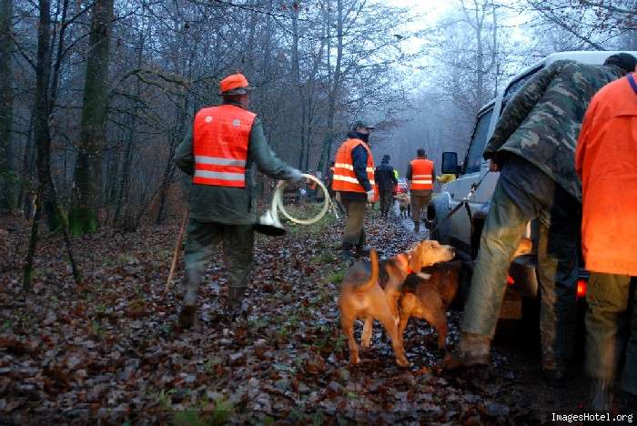 Trompe de chasse  ANLIER, Belgique