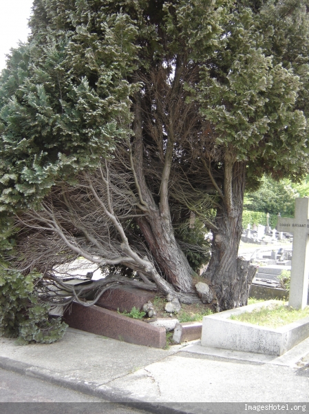 De plus près on voit mieux le travail...