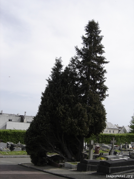 de loin ce n'est pas impressionnant