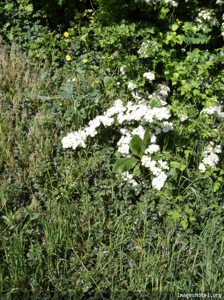Sous au pont aux Clayes sous Bois