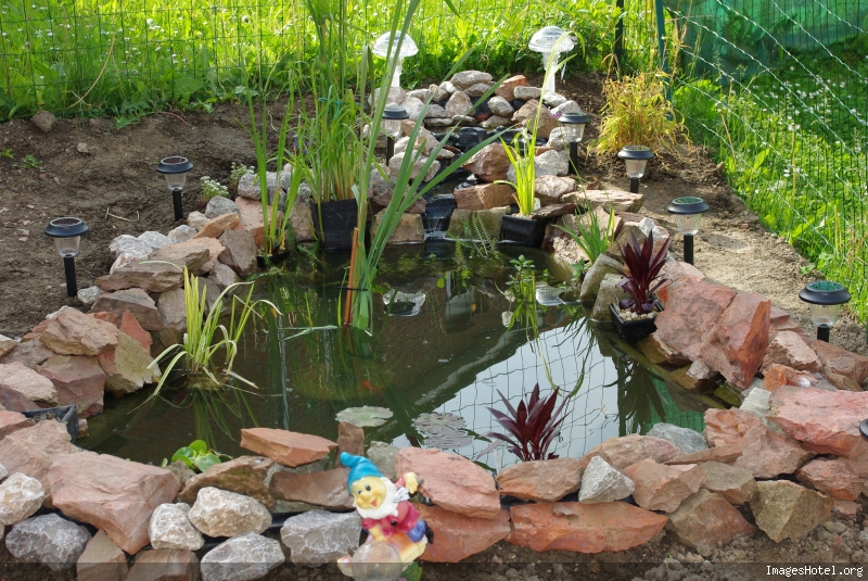 Entretien piscine naturelle Chalon sur Saône : bassin de jardin, aquarium 