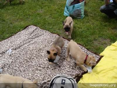 Image h�berg�e sur <a href=
