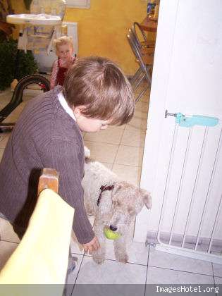 Les enfants et les chiens