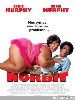 norbit xvid avi (phoenix tk) preview 0