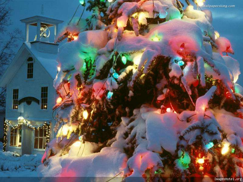 Image hébergée sur http://www.imageshotel.org/