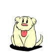 Les animaux propres sont admis