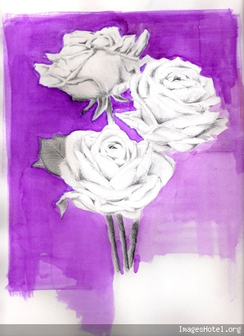 Deux de mes dessins 3roses