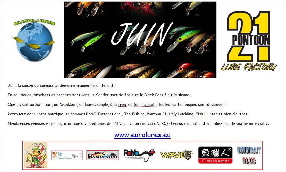 Image entetejuin2013