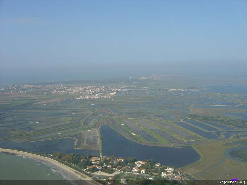 octobre 2006 Appareil Volant Imitant Oiseau Naturel