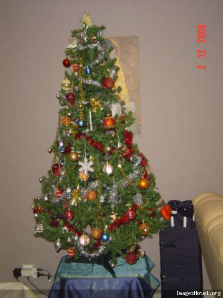 Mon beau sapin! Roi des forêts! - Page 2 Dsc07396