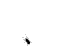 tonioal