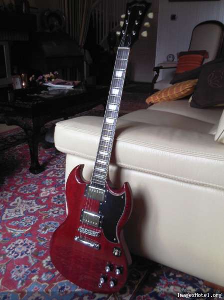 fenix sg