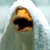 A posté une image