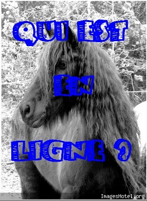 Qui est en ligne ?