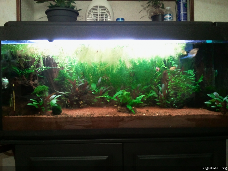2011071823.jpg