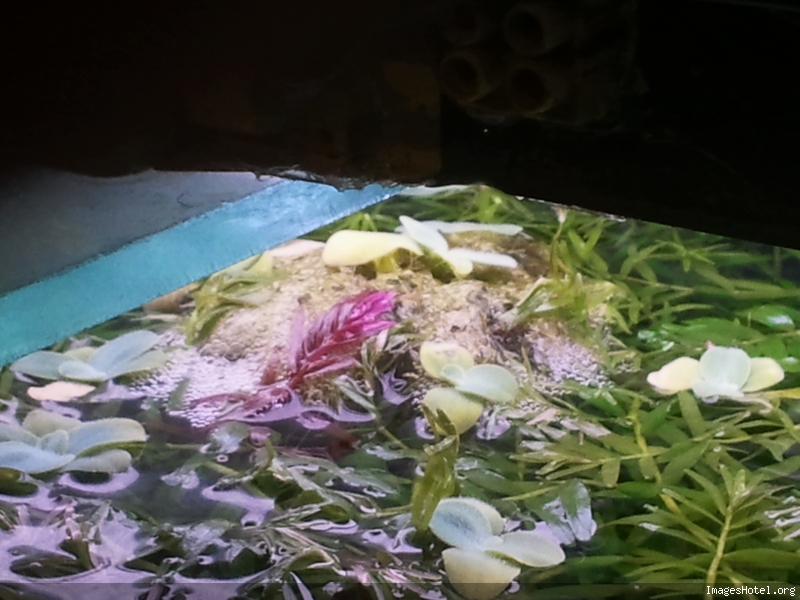 2011072521.jpg
