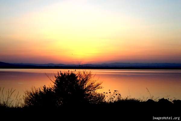 Image h�berg�e sur http://www.imageshotel.org/