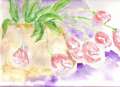 Cliquez une image pour l'afficher en taille r�elle