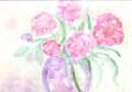 Cliquez une image pour l'afficher en taille r�elle