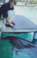 Cliquez une image pour l'afficher en taille r�elle