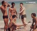 Cliquez une image pour l'afficher en taille r�elle