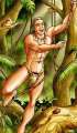 Cliquez une image pour l'afficher en taille r�elle