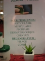 cliquez pour agrandir la photo