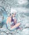 Cliquez une image pour l'afficher en taille r�elle