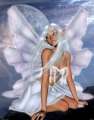 Cliquez une image pour l'afficher en taille r�elle