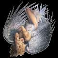 Cliquez une image pour l'afficher en taille r�elle