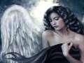Cliquez une image pour l'afficher en taille r�elle