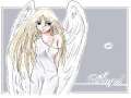 Cliquez une image pour l'afficher en taille r�elle