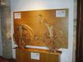 Cliquez une image pour l'afficher en taille r�elle
