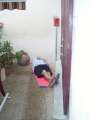 Cliquez une image pour l'afficher en taille r�elle
