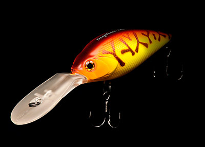 Crankbait PONTOON 21 POISSON NAGEUR DEEP HASE 70F
